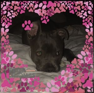 Meet your Posher, Cara